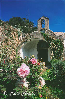 Capri, Campania, Italy
 (cod:Capri 05)