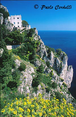 Capri, Campania, Italy
 (cod:Capri 08)