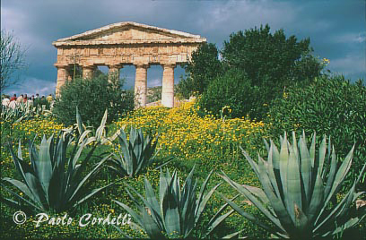 Temple of Segesta, Sicily, Italy
 (cod:Sicily 01)