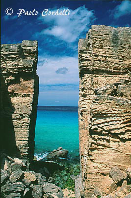 Favignana, Egadi Islands, Sicily, Italy
 (cod:Sicily 14)