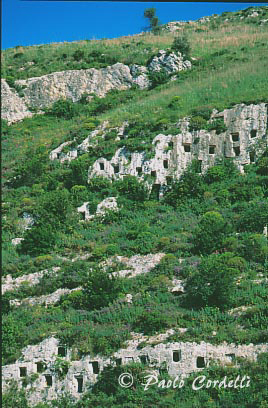 Sicily, Italy
 (cod:Sicily 15)