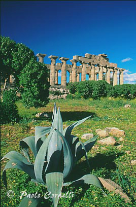 Selinunte, Sicily, Italy
 (cod:Sicily 16)
