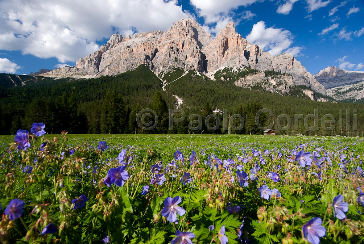 Dolomites, Trentino-Alto Adige, Italy
(cod:Dolomites 03)